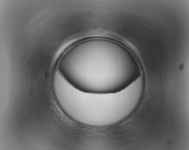 X0000115771368200911131012
