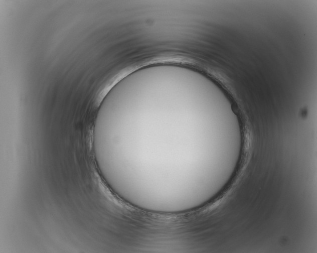 X0000115771369200911131012