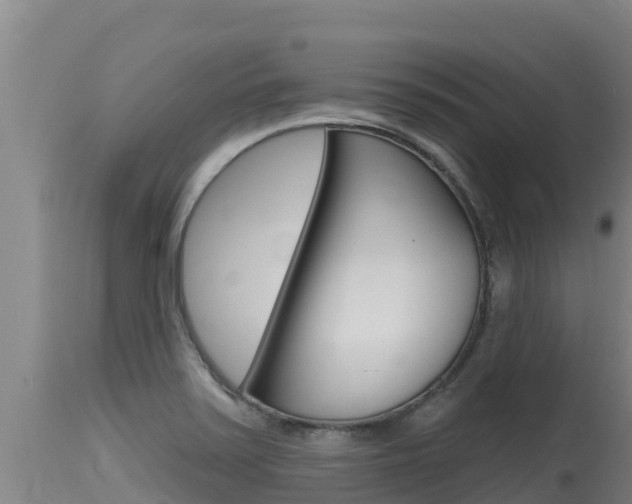 X0000115771371200911131012
