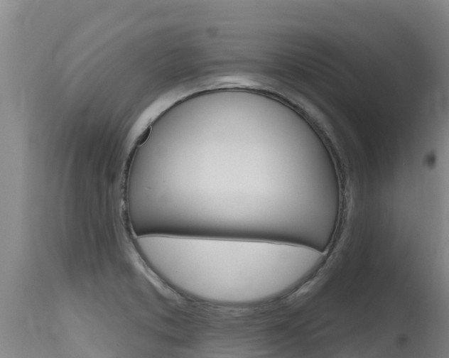 X0000115771373200911131012
