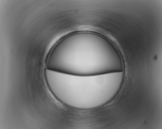 X0000115771376200911131012