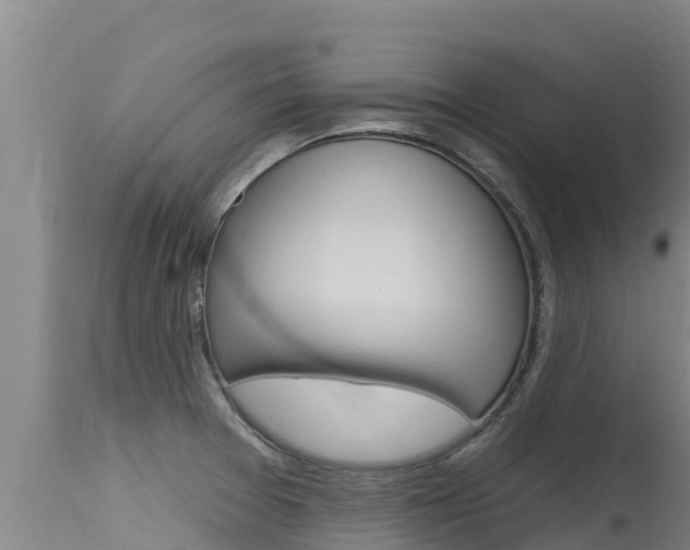 X0000115771377200911131012