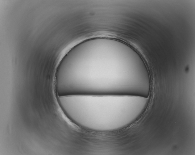 X0000115771379200911131012