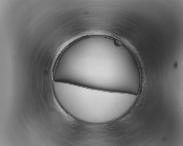 X0000115771380200911131012