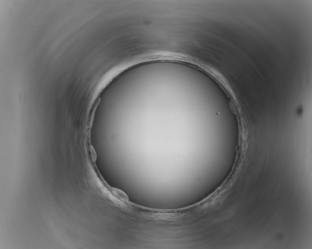 X0000115771381200911131012
