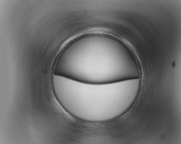X0000115771384200911131012