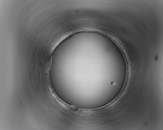 X0000115771385200911131012