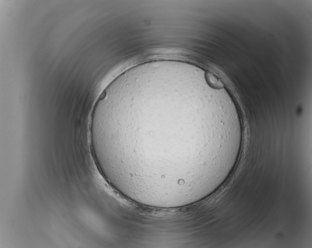 X0000115771386200911131012