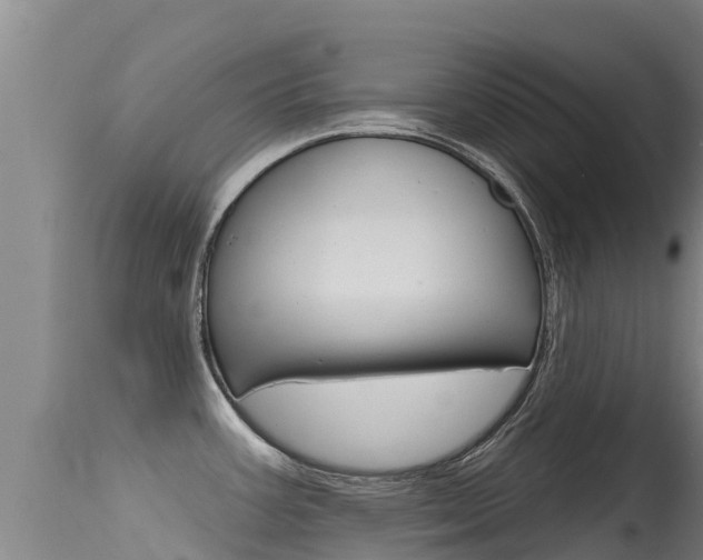 X0000115771387200911131012