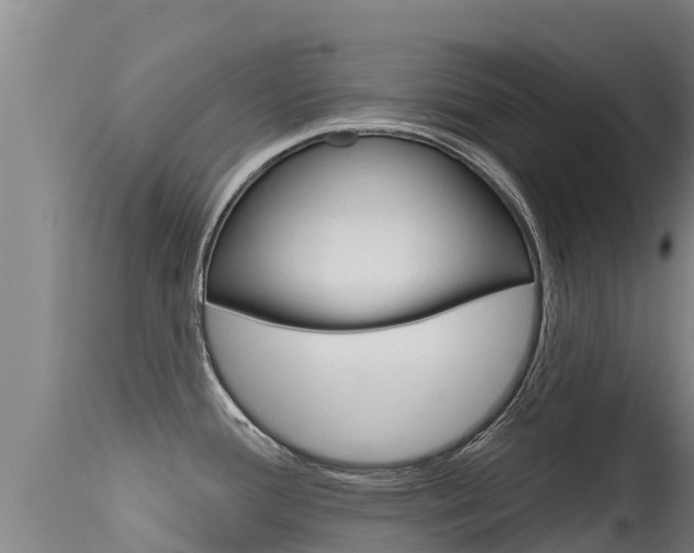 X0000115771388200911131012