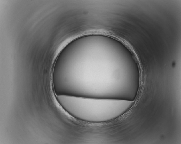 X0000115771389200911131012