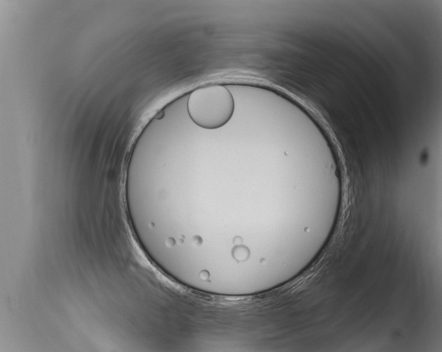 X0000115771390200911131012