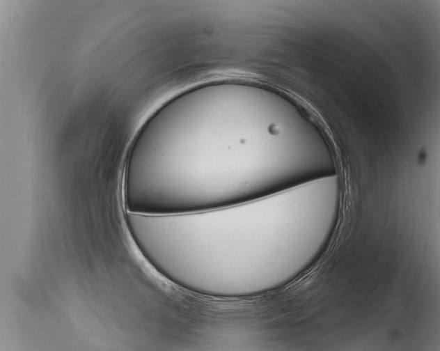 X0000115771391200911131012