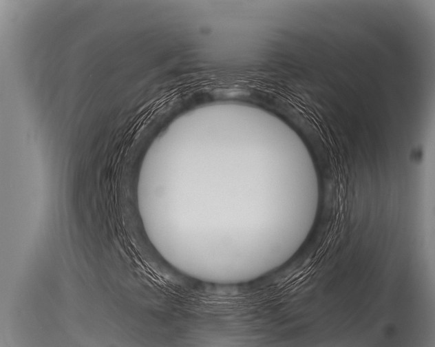 X0000115771393200911131011