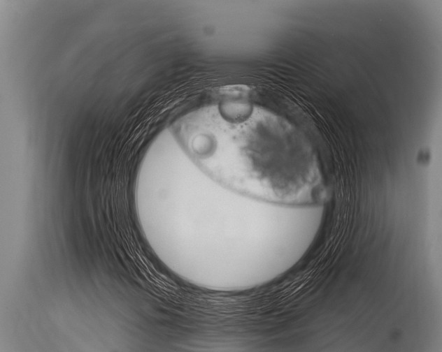 X0000115771394200911131011