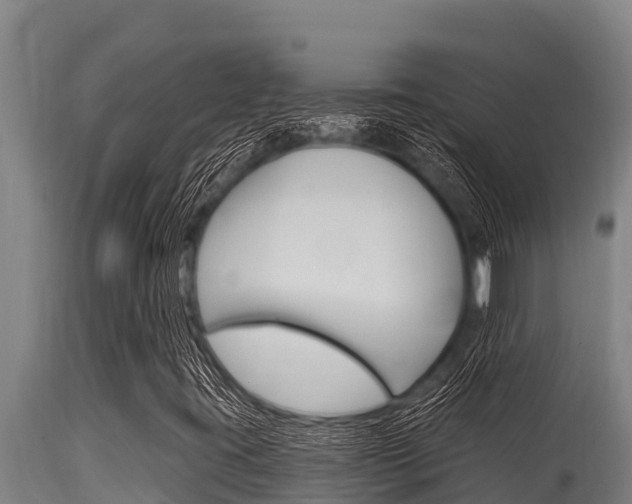 X0000115771395200911131011