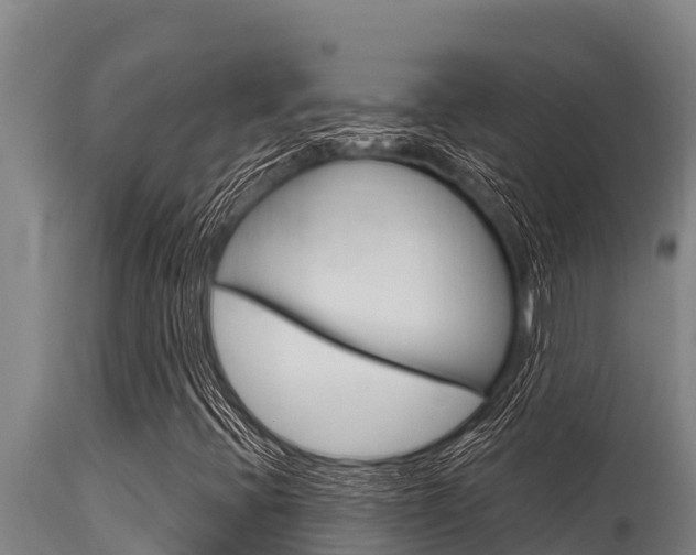 X0000115771396200911131011