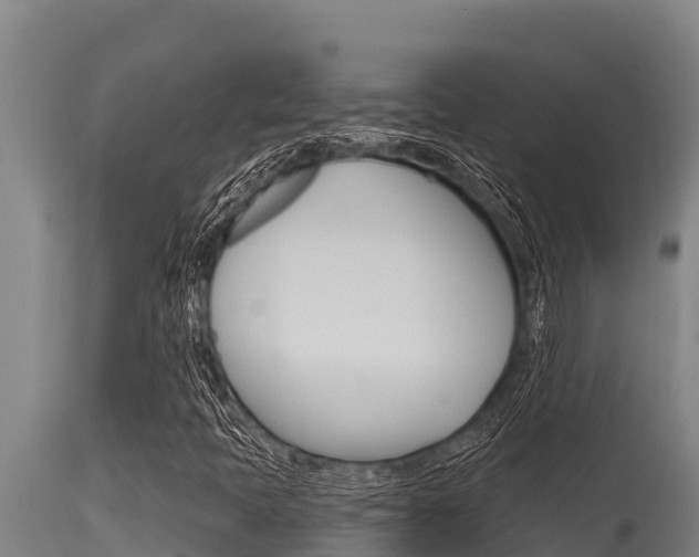 X0000115771397200911131011