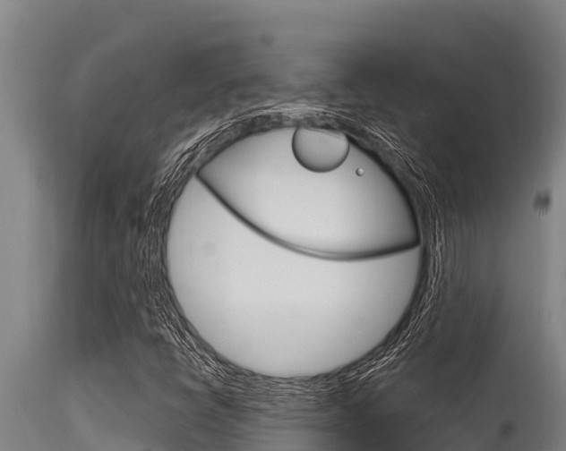 X0000115771398200911131011
