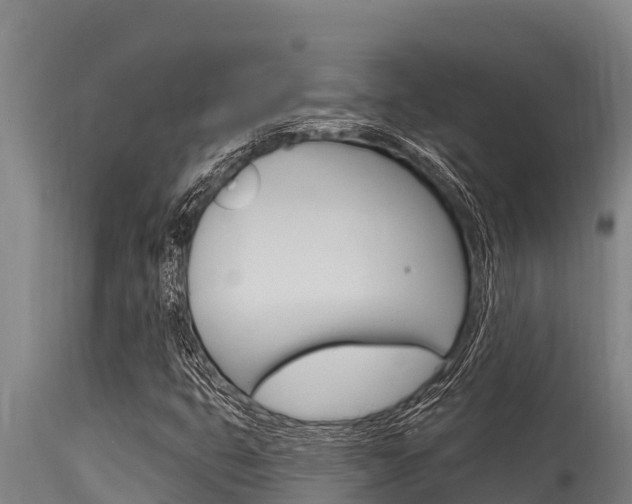 X0000115771399200911131011