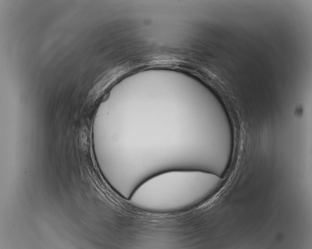 X0000115771401200911131011