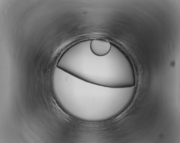 X0000115771402200911131011