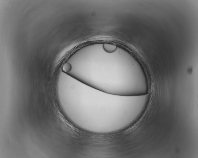 X0000115771406200911131011