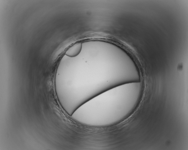 X0000115771407200911131011