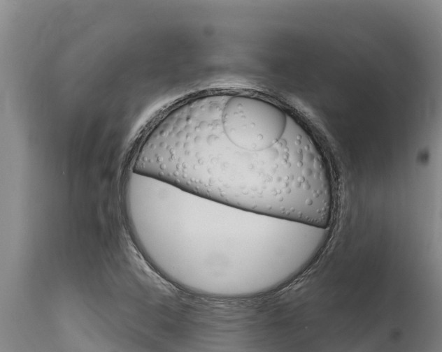 X0000115771408200911131011