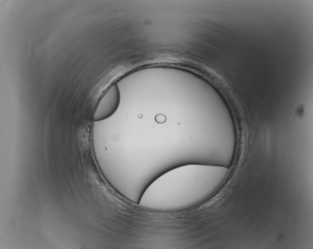 X0000115771409200911131011