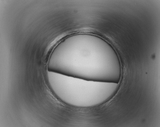 X0000115771410200911131011