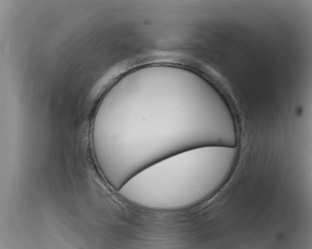 X0000115771411200911131011