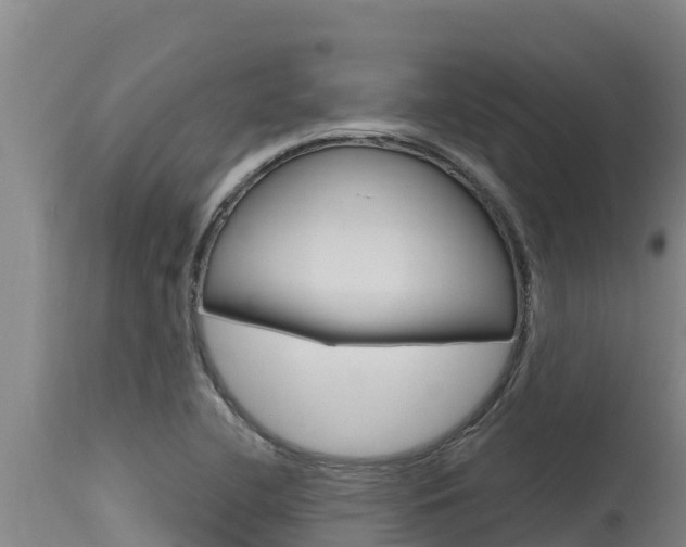 X0000115771412200911131011