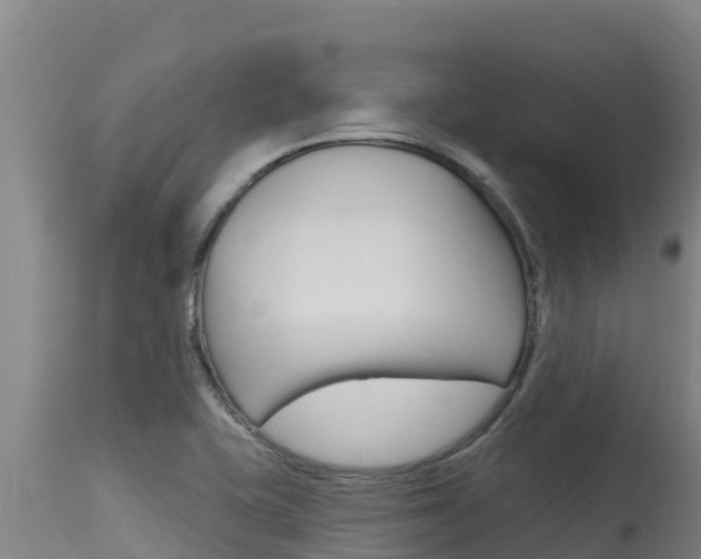 X0000115771415200911131012