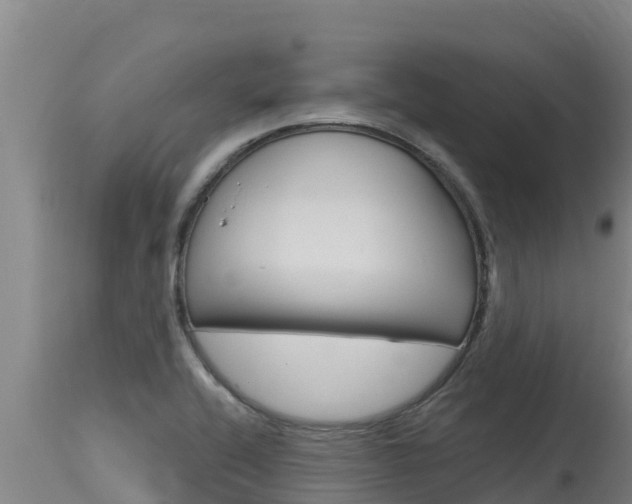 X0000115771416200911131012