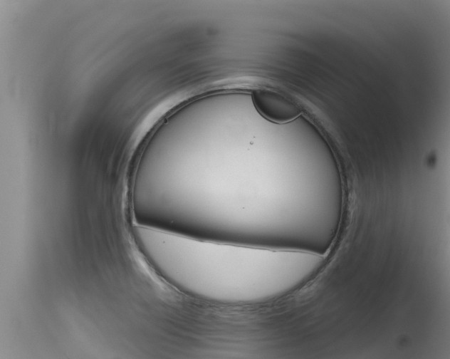 X0000115771418200911131012
