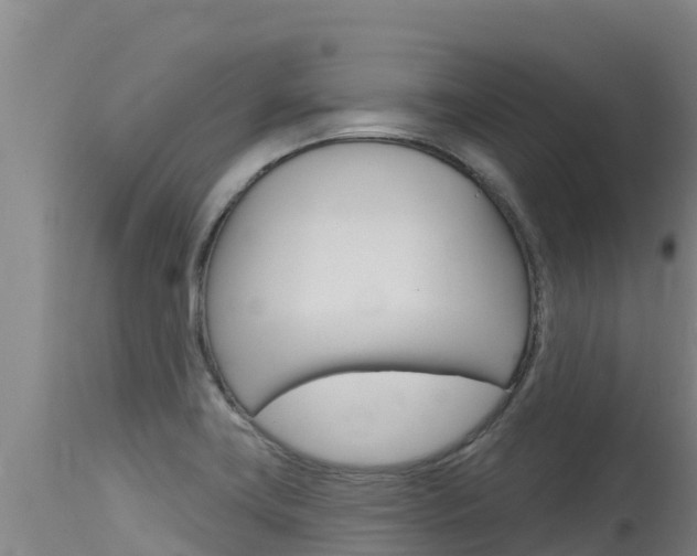 X0000115771419200911131012