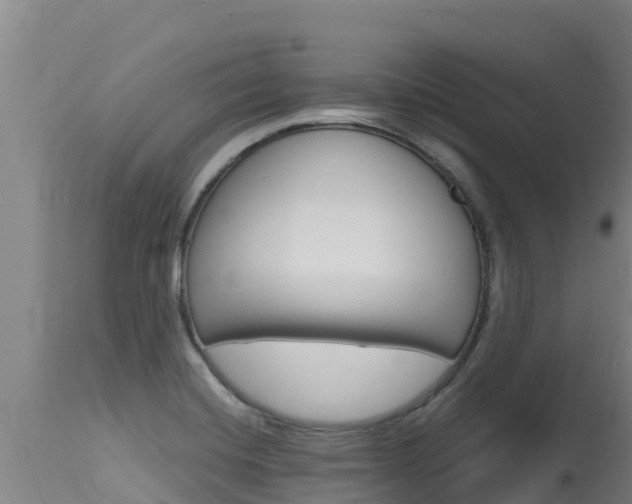 X0000115771420200911131012