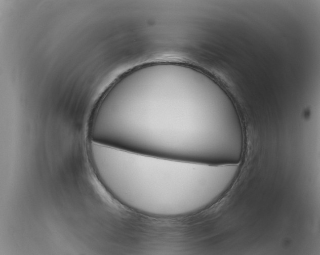 X0000115771422200911131012