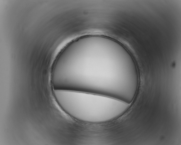 X0000115771424200911131012