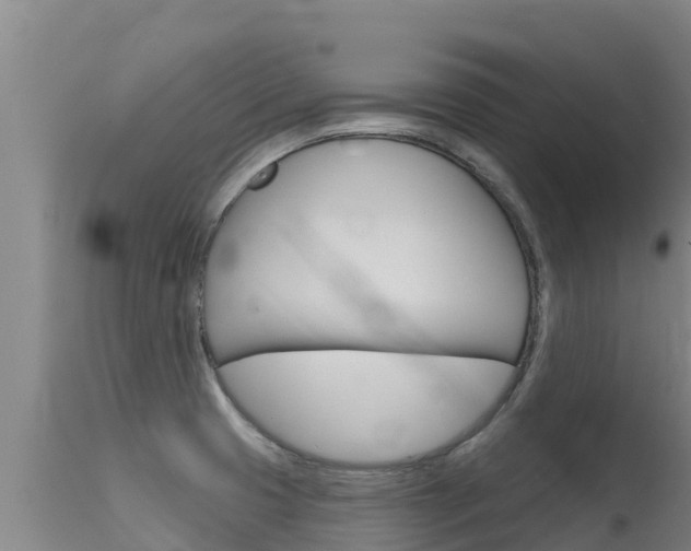 X0000115771425200911131012