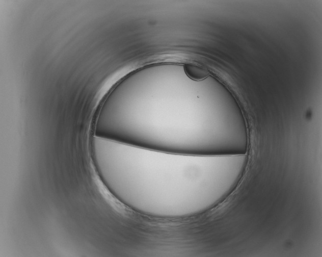 X0000115771426200911131012