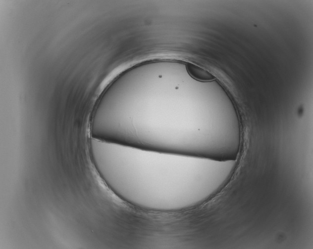 X0000115771428200911131012