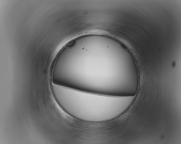 X0000115771430200911131012