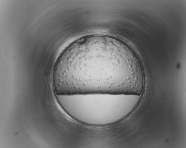 X0000115771432200911131012
