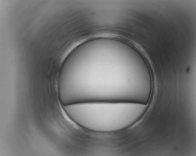 X0000115771433200911131012