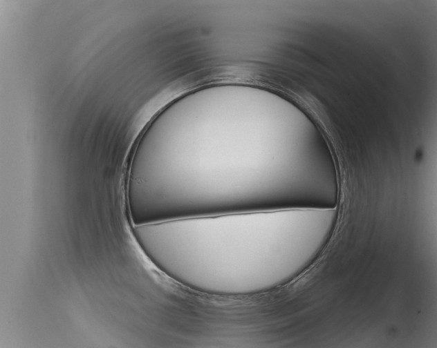 X0000115771434200911131012