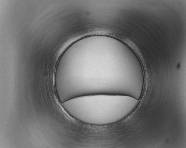 X0000115771436200911131012