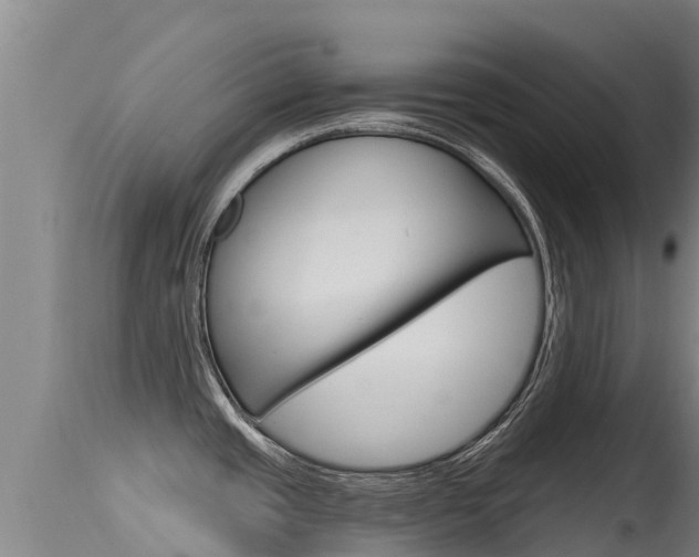 X0000115771437200911131012