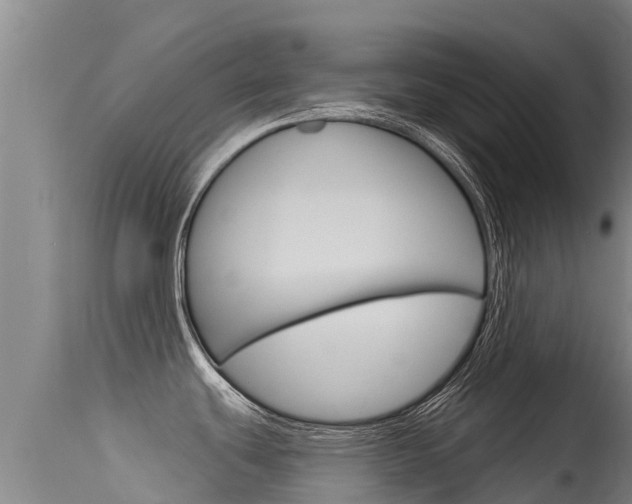 X0000115771439200911131012